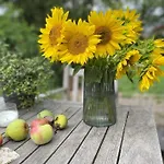 Wassermuehle - Alleinlage Fuer Retreats, Workshops, Family & Friends 别墅 *