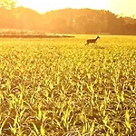 别墅 Wassermuehle - Alleinlage Fuer Retreats, Workshops, Family & Friends Triglitz