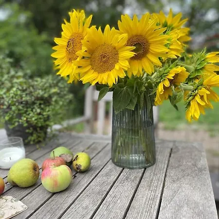 Wassermuehle - Alleinlage Fuer Retreats, Workshops, Family & Friends Βίλα *