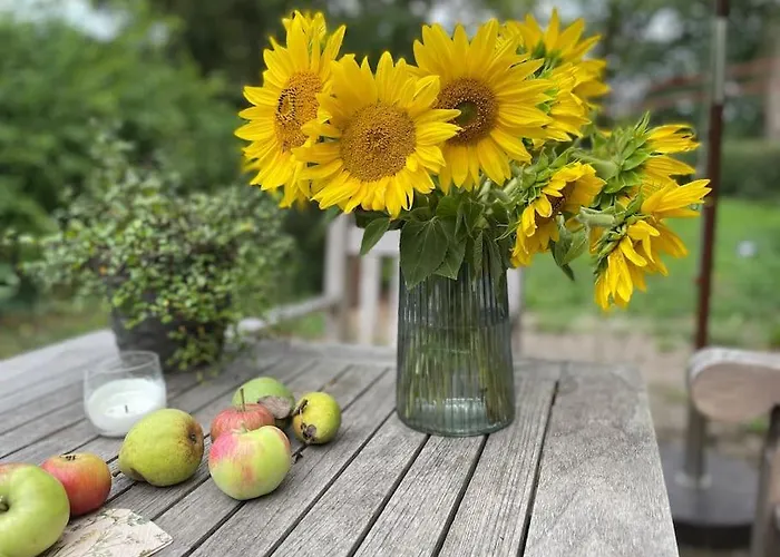 Wassermuehle - Alleinlage Fuer Retreats, Workshops, Family & Friends ヴィラ *