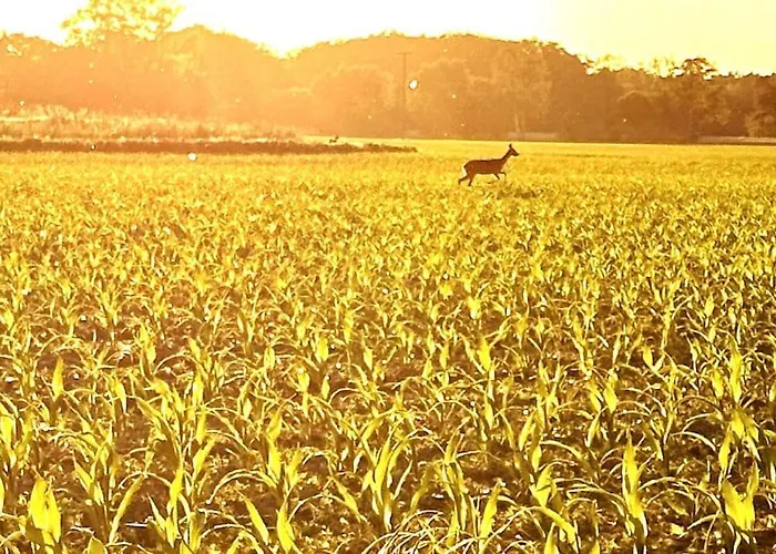 ヴィラ Wassermuehle - Alleinlage Fuer Retreats, Workshops, Family & Friends Triglitz